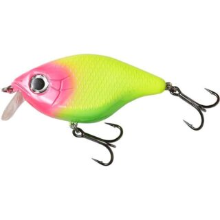 MADCAT Tight S-Shallow
